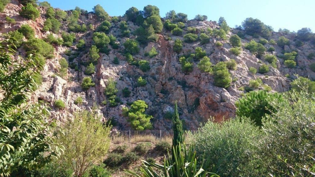 Sète "Bien Vivre Ensemble" Aux Marches Du Soleil - Chambres Privees Chez L'Habitant Dans Appartement Partage מראה חיצוני תמונה