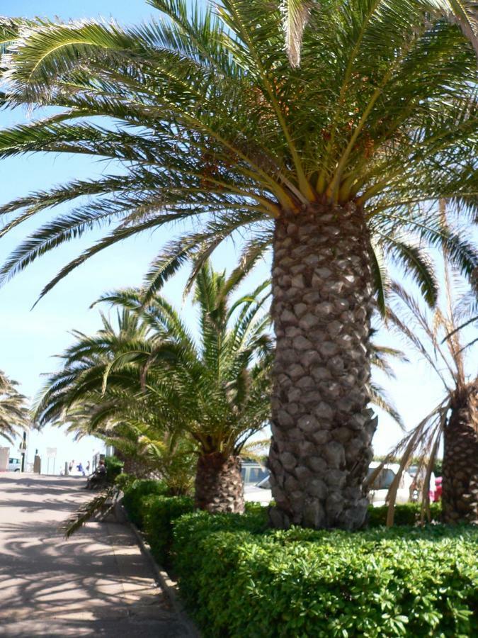 Sète "Bien Vivre Ensemble" Aux Marches Du Soleil - Chambres Privees Chez L'Habitant Dans Appartement Partage מראה חיצוני תמונה