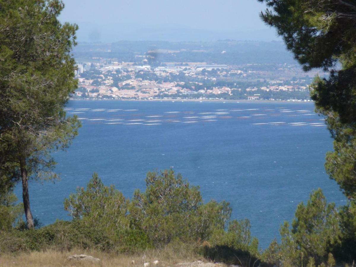 Sète "Bien Vivre Ensemble" Aux Marches Du Soleil - Chambres Privees Chez L'Habitant Dans Appartement Partage מראה חיצוני תמונה